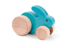 Small Rabbit Push Toy