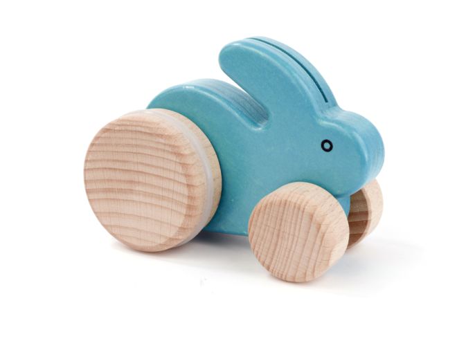 Small Rabbit Push Toy