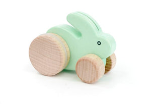 Small Rabbit Push Toy