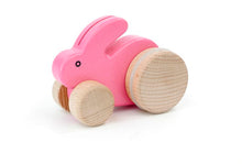 Small Rabbit Push Toy